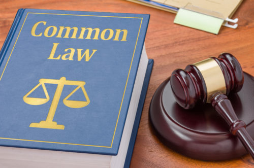 A book with a blue cover titled “Common Law” and a judge’s gavel sitting on a wooden surface.