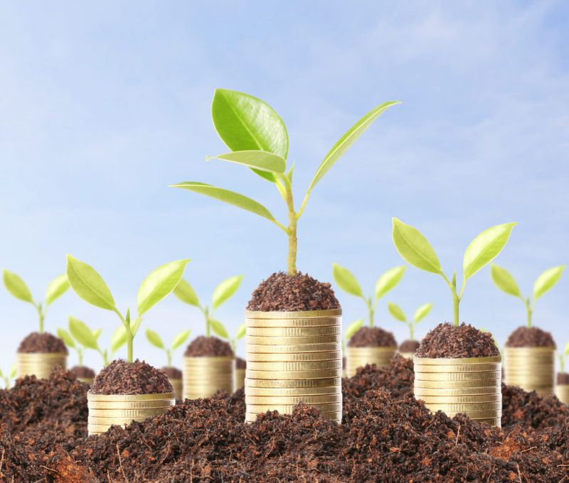 A series of a stack of coins in the soil, with soil on top of them and budding plants come out of the top of the coins.