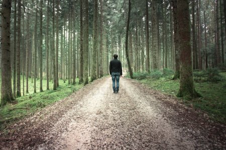 A man stands alone on a forest path, facing away.