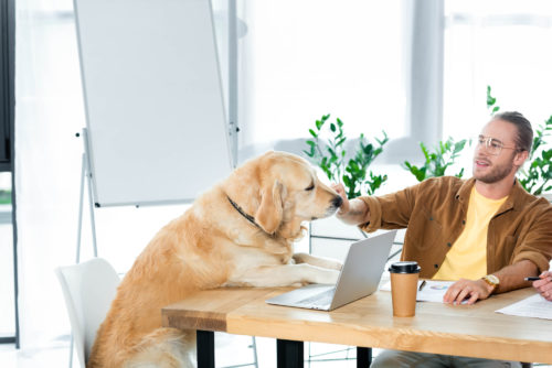 A yellow lab and a man sit at a table together, the man petting the dog's nose
