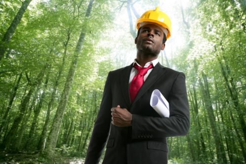 An environmental engineer stands in a forest with plans tucked under his arm for an ecological project.