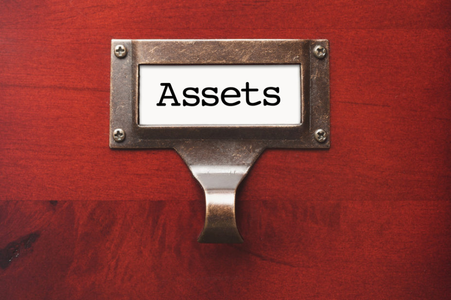What Is an Asset? Types of Assets Fiscal Tiger